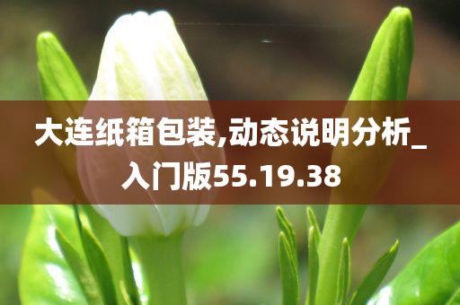 大连纸箱包装,动态说明分析_入门版55.19.38