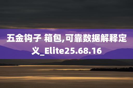 五金钩子 箱包,可靠数据解释定义_Elite25.68.16