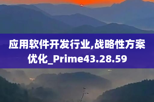 应用软件开发行业,战略性方案优化_Prime43.28.59