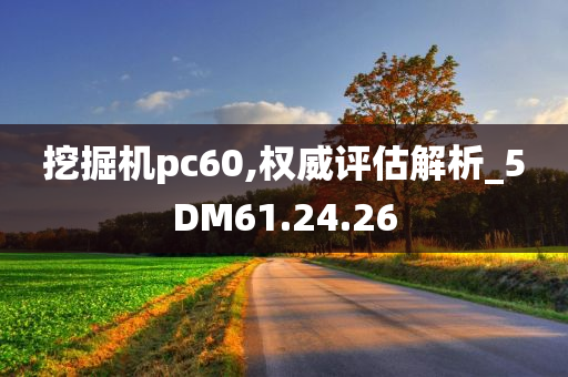 挖掘机pc60,权威评估解析_5DM61.24.26