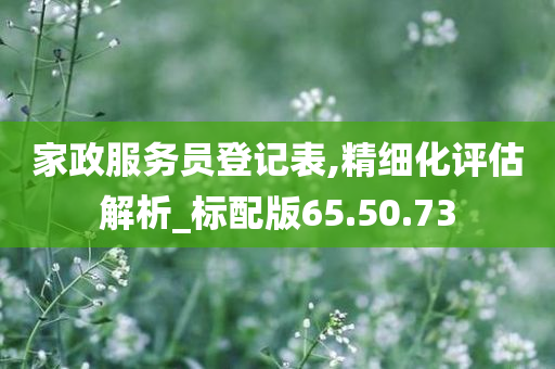 家政服务员登记表,精细化评估解析_标配版65.50.73