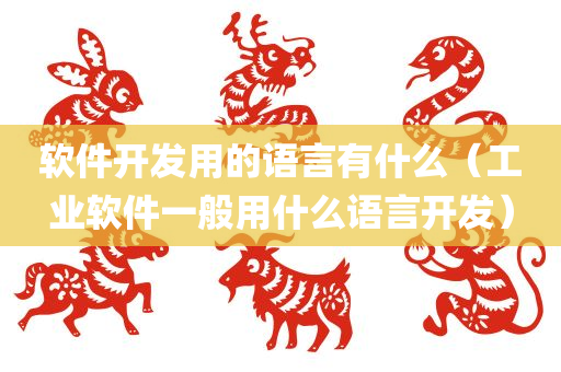 软件开发用的语言有什么（工业软件一般用什么语言开发）