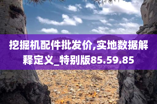 挖掘机配件批发价,实地数据解释定义_特别版85.59.85