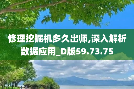 修理挖掘机多久出师,深入解析数据应用_D版59.73.75