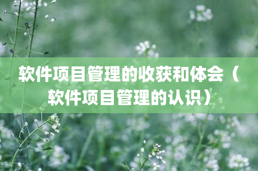 软件项目管理的收获和体会（软件项目管理的认识）