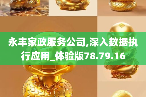 永丰家政服务公司,深入数据执行应用_体验版78.79.16