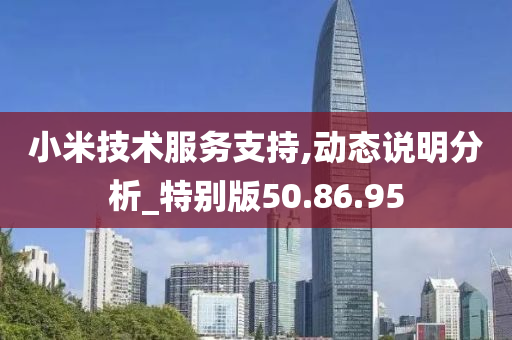 小米技术服务支持,动态说明分析_特别版50.86.95