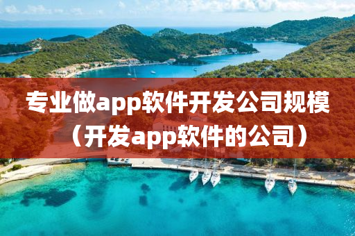 专业做app软件开发公司规模（开发app软件的公司）