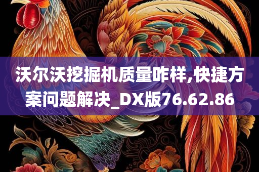 沃尔沃挖掘机质量咋样,快捷方案问题解决_DX版76.62.86