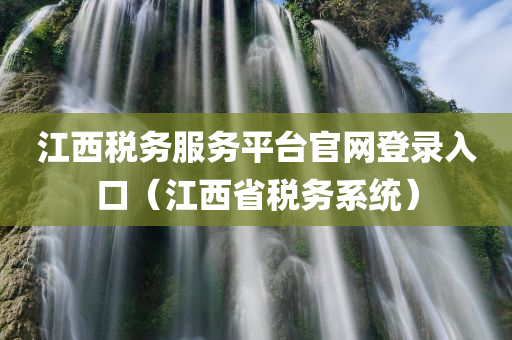 江西税务服务平台官网登录入口（江西省税务系统）