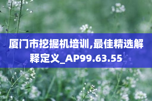 厦门市挖掘机培训,最佳精选解释定义_AP99.63.55