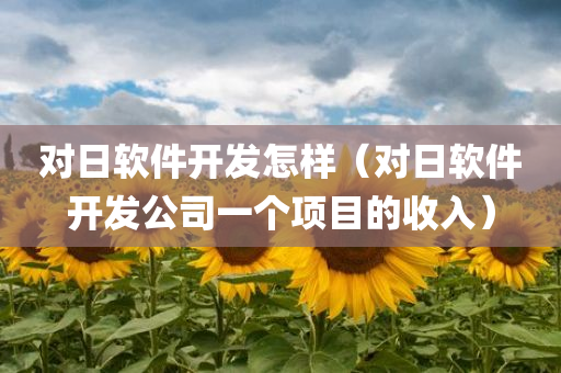 对日软件开发怎样（对日软件开发公司一个项目的收入）