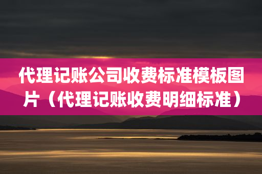 代理记账公司收费标准模板图片（代理记账收费明细标准）