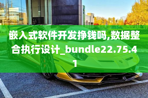 嵌入式软件开发挣钱吗,数据整合执行设计_bundle22.75.41