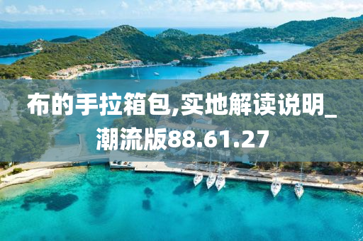 布的手拉箱包,实地解读说明_潮流版88.61.27