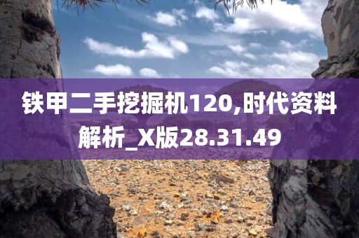 铁甲二手挖掘机120,时代资料解析_X版28.31.49