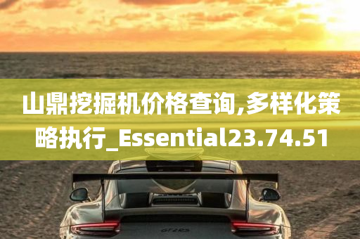 山鼎挖掘机价格查询,多样化策略执行_Essential23.74.51