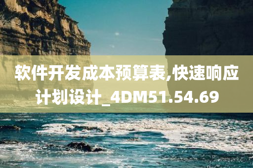 软件开发成本预算表,快速响应计划设计_4DM51.54.69