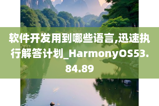 软件开发用到哪些语言,迅速执行解答计划_HarmonyOS53.84.89