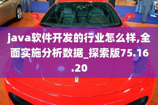 java软件开发的行业怎么样,全面实施分析数据_探索版75.16.20