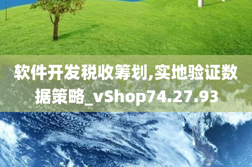 软件开发税收筹划,实地验证数据策略_vShop74.27.93