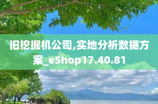 旧挖掘机公司,实地分析数据方案_eShop17.40.81