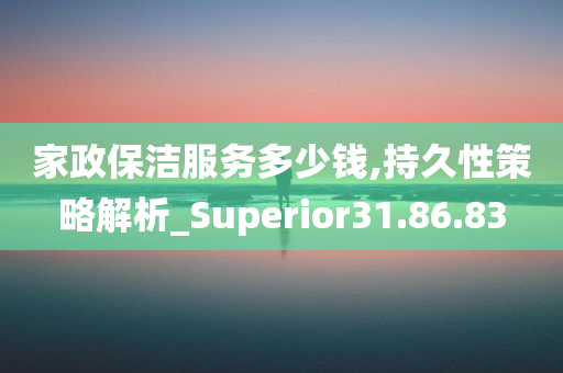 家政保洁服务多少钱,持久性策略解析_Superior31.86.83