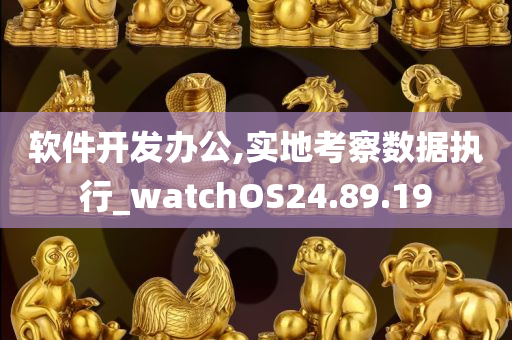 软件开发办公,实地考察数据执行_watchOS24.89.19