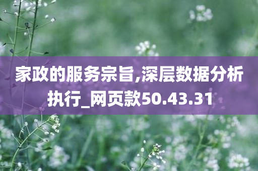 家政的服务宗旨,深层数据分析执行_网页款50.43.31