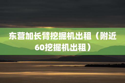 东营加长臂挖掘机出租（附近60挖掘机出租）