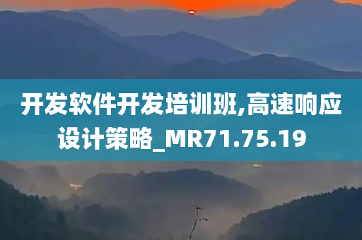 开发软件开发培训班,高速响应设计策略_MR71.75.19