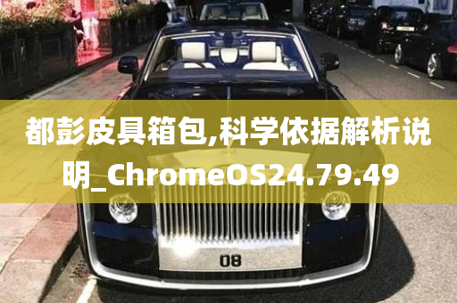 都彭皮具箱包,科学依据解析说明_ChromeOS24.79.49