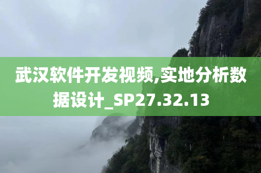 武汉软件开发视频,实地分析数据设计_SP27.32.13