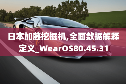 日本加藤挖掘机,全面数据解释定义_WearOS80.45.31