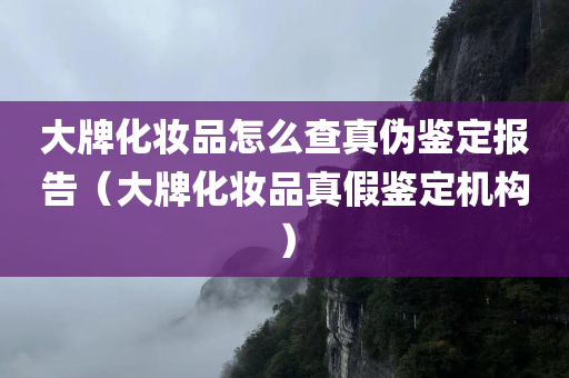 大牌化妆品怎么查真伪鉴定报告（大牌化妆品真假鉴定机构）