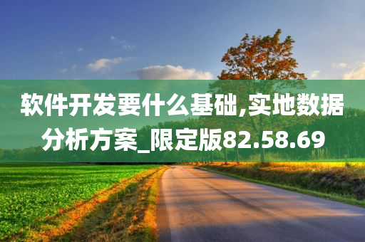 软件开发要什么基础,实地数据分析方案_限定版82.58.69