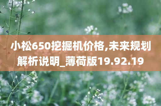 小松650挖掘机价格,未来规划解析说明_薄荷版19.92.19