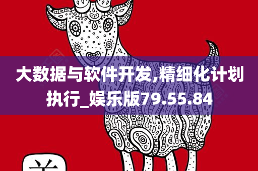 大数据与软件开发,精细化计划执行_娱乐版79.55.84