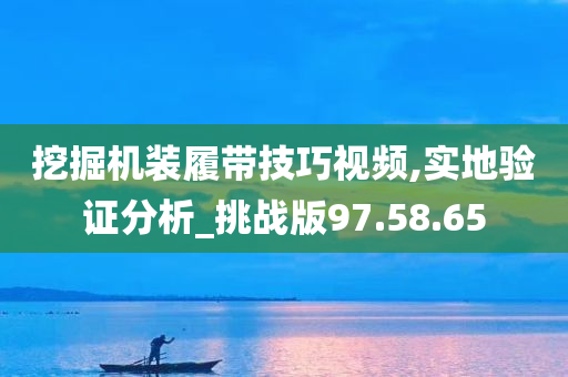 挖掘机装履带技巧视频,实地验证分析_挑战版97.58.65