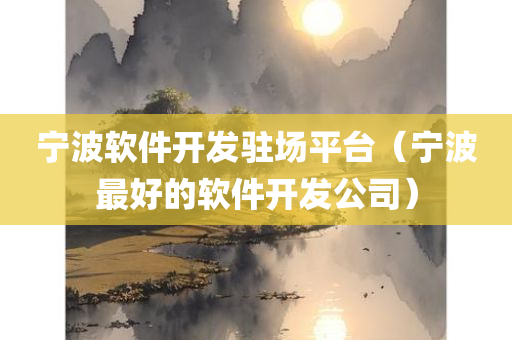 宁波软件开发驻场平台（宁波最好的软件开发公司）