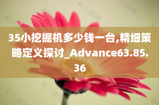 35小挖掘机多少钱一台,精细策略定义探讨_Advance63.85.36