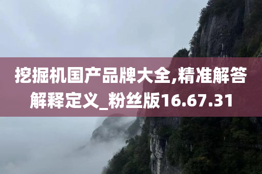 挖掘机国产品牌大全,精准解答解释定义_粉丝版16.67.31