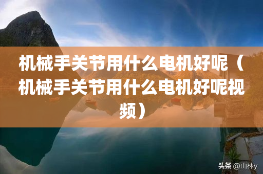 机械手关节用什么电机好呢（机械手关节用什么电机好呢视频）