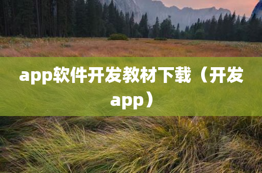 app软件开发教材下载（开发app）