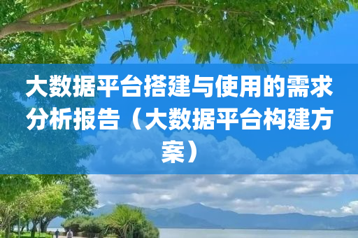 大数据平台搭建与使用的需求分析报告（大数据平台构建方案）