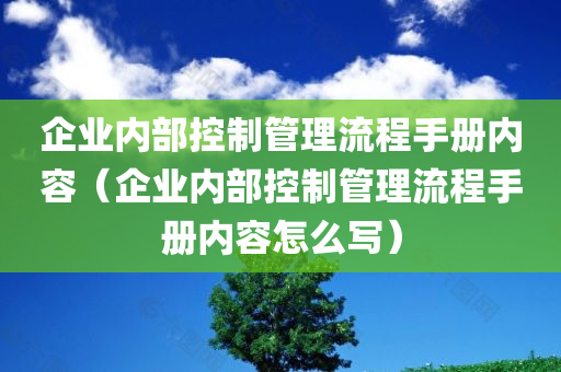 企业内部控制管理流程手册内容（企业内部控制管理流程手册内容怎么写）