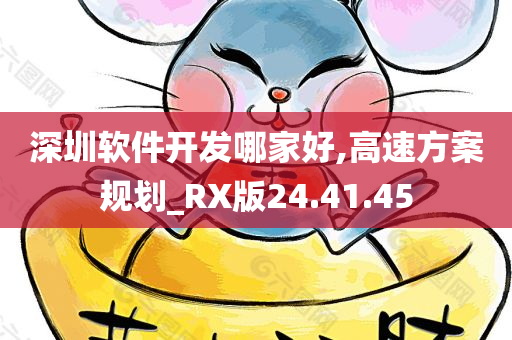 深圳软件开发哪家好,高速方案规划_RX版24.41.45