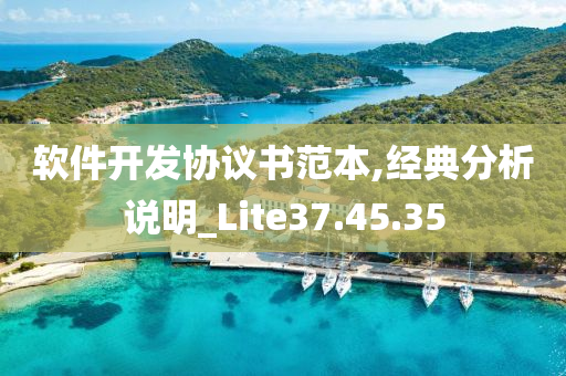 软件开发协议书范本,经典分析说明_Lite37.45.35