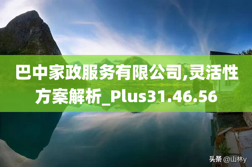 巴中家政服务有限公司,灵活性方案解析_Plus31.46.56