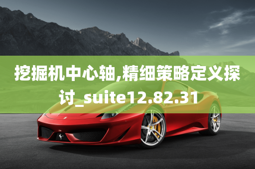 挖掘机中心轴,精细策略定义探讨_suite12.82.31